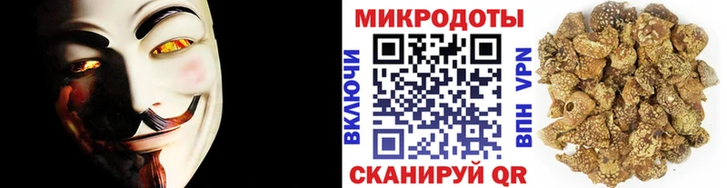 Галлюциногенные грибы прущие грибы  как найти   Кедровый 